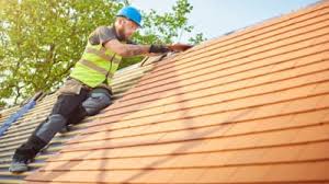 Best Roof Leak Repair  in Park City, TN