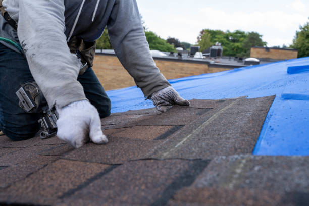 Roof Coating Services in Park City, TN