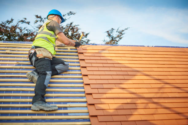 Best Asphalt Shingles Roofing  in Park City, TN